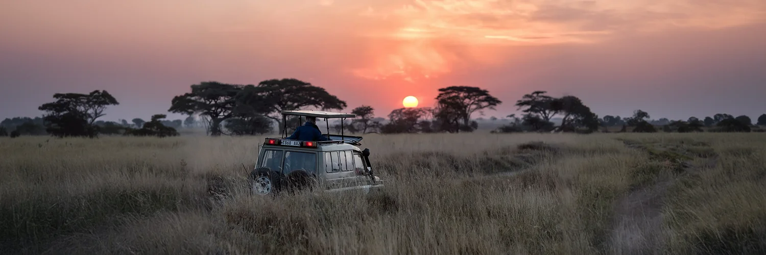 package hotel listing